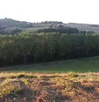 Foto annuncio 4