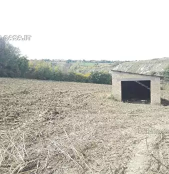 Foto annuncio 11
