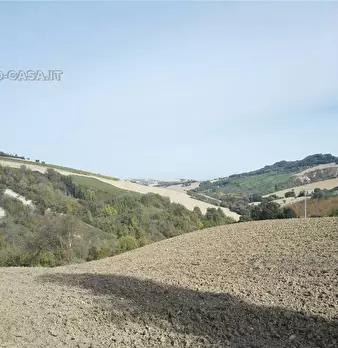Foto annuncio 12