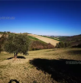 Foto annuncio 15