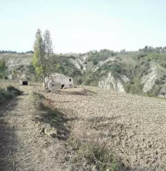 Foto annuncio 3