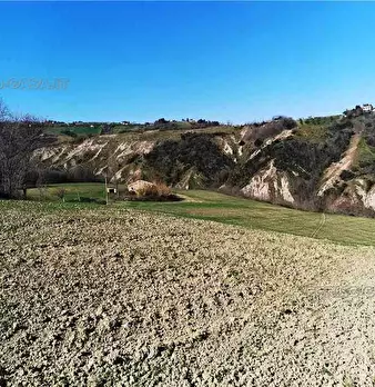 Foto annuncio 4