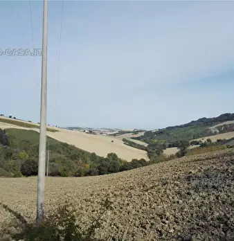 Foto annuncio 7