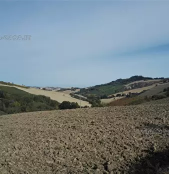 Foto annuncio 8