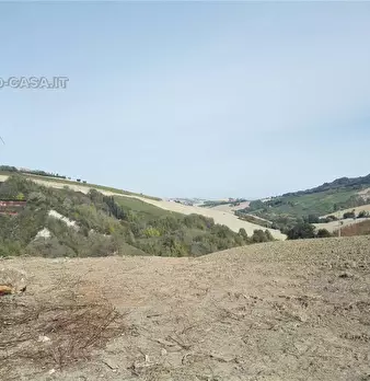 Foto annuncio 9