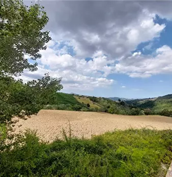 Foto annuncio 13