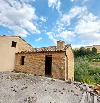 Foto annuncio 8