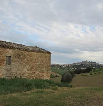 Foto annuncio 12