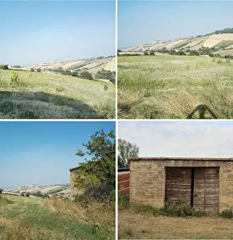 Foto annuncio 16