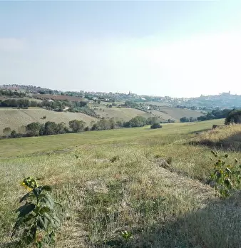 Foto annuncio 26