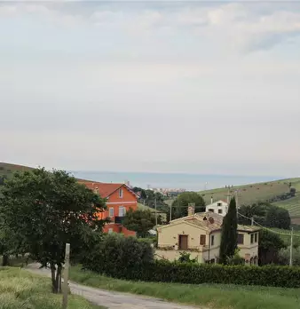Foto annuncio 5
