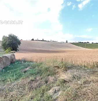 Foto annuncio 10