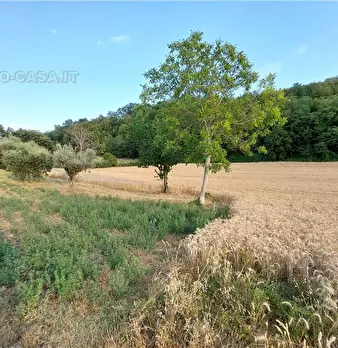 Foto annuncio 11