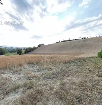 Foto annuncio 9