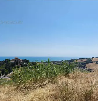 Foto annuncio 4