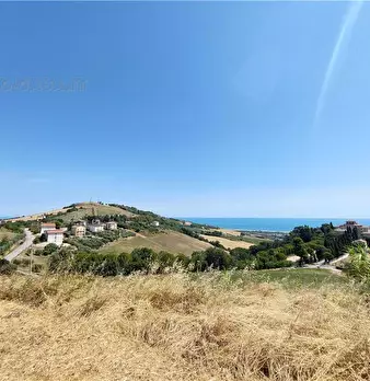 Foto annuncio 6