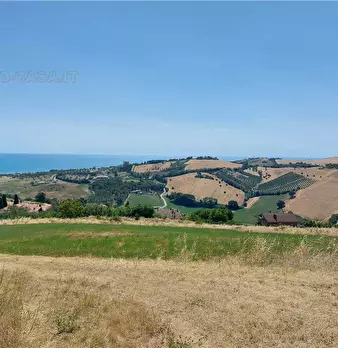 Foto annuncio 7