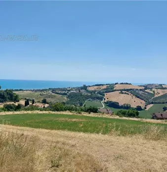 Foto annuncio 8