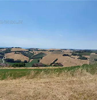 Foto annuncio 9