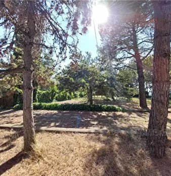 Foto annuncio 28
