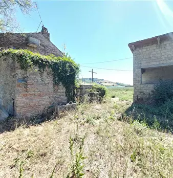 Foto annuncio 12