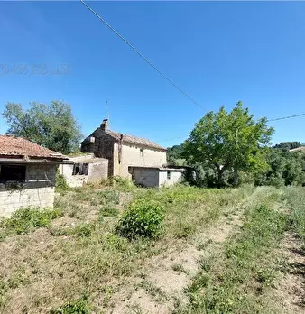 Foto annuncio 14