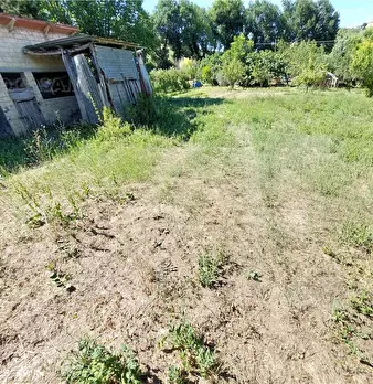 Foto annuncio 7