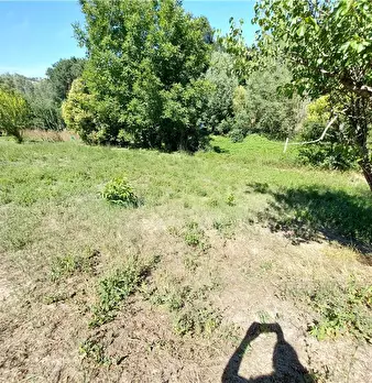 Foto annuncio 8