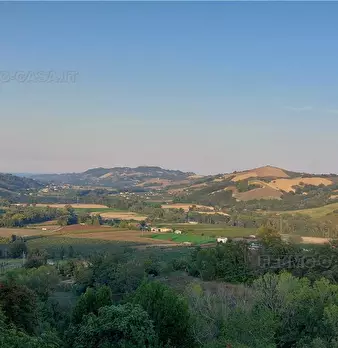 Foto annuncio 19