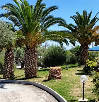 Foto annuncio 32