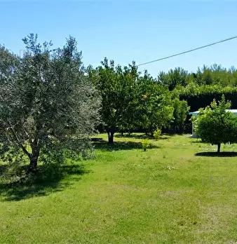 Foto annuncio 33