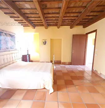 Foto annuncio 32