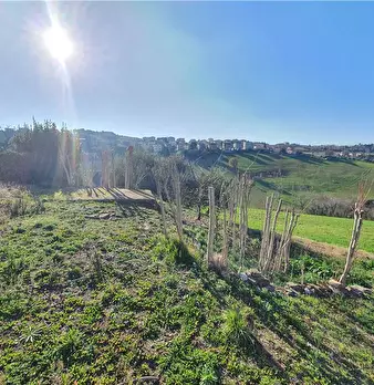 Foto annuncio 13