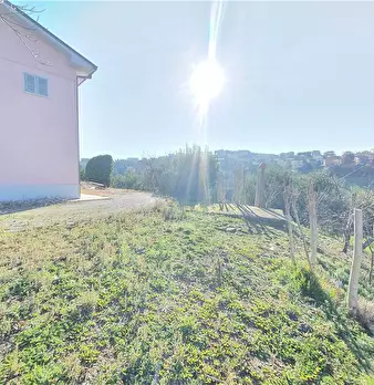 Foto annuncio 19