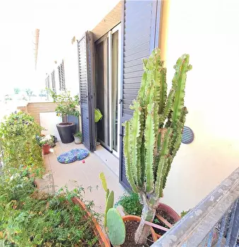 Foto annuncio 6