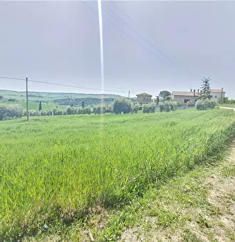 Foto annuncio 11