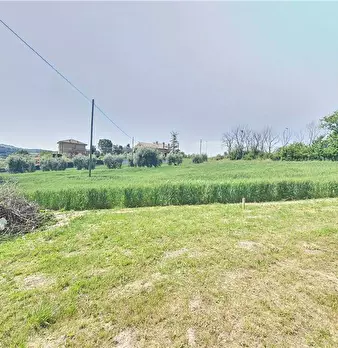 Foto annuncio 13
