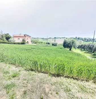 Foto annuncio 15