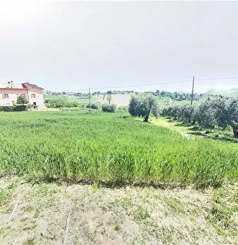 Foto annuncio 16