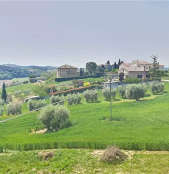 Foto annuncio 5