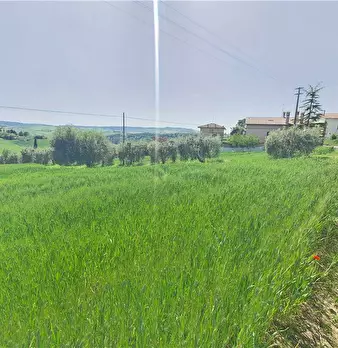 Foto annuncio 7