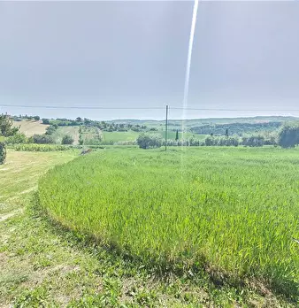 Foto annuncio 8
