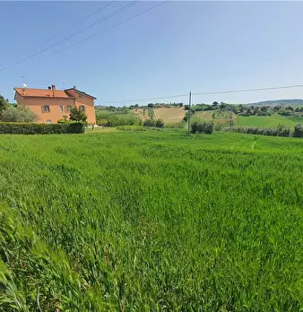 Foto annuncio 21