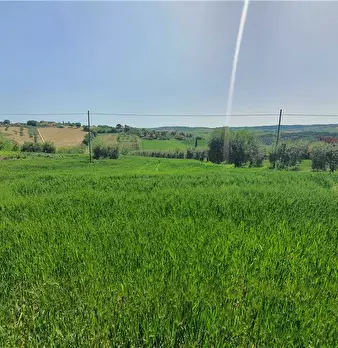 Foto annuncio 22
