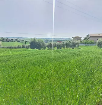 Foto annuncio 23