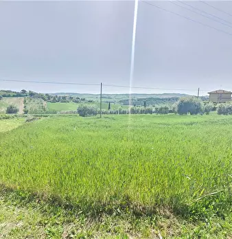 Foto annuncio 24