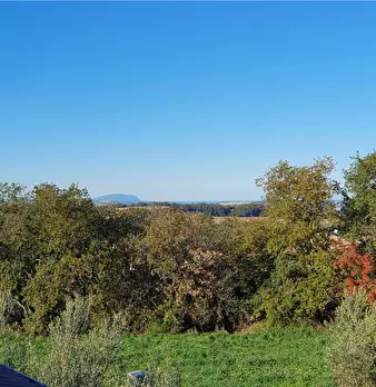Foto annuncio 8