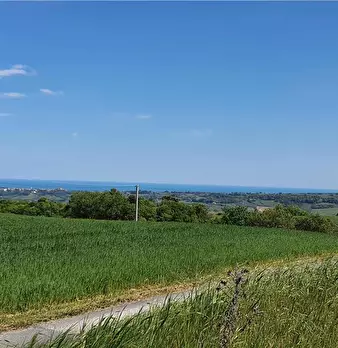 Foto annuncio 1