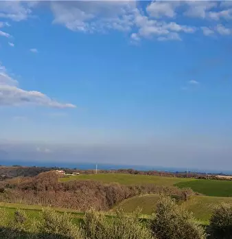 Foto annuncio 11
