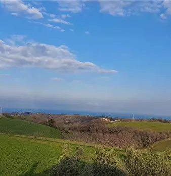 Foto annuncio 12